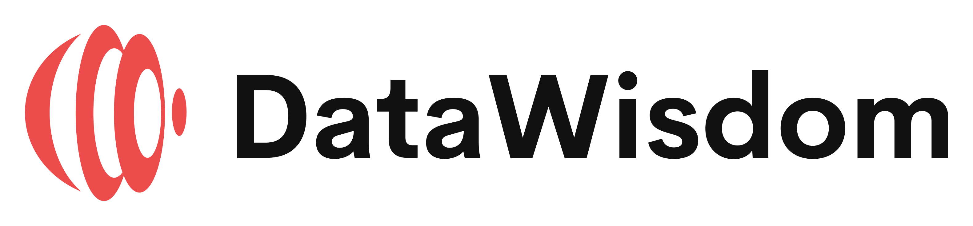 DataWisdom logo